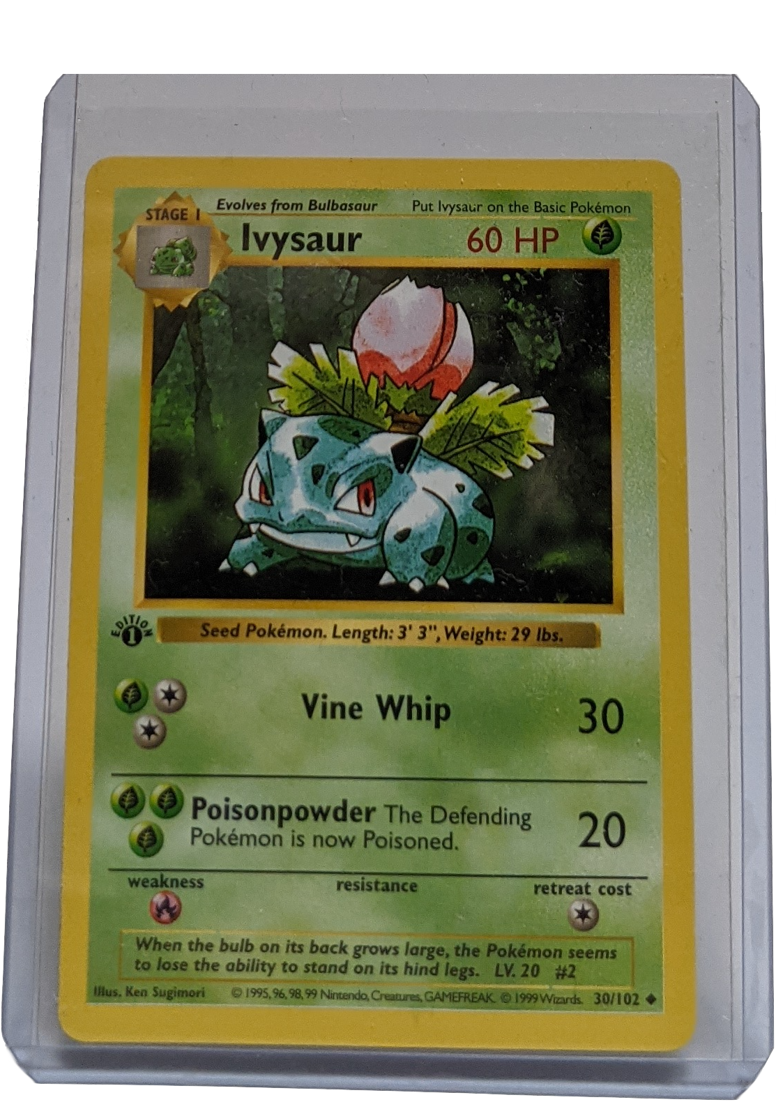 1999 Pokemon Ivysaur - 1st Edition Shadowless | Kaiya's Collectibles 1999 Pokemon Ivysaur - 1st Edition Shadowless | Kaiya's Collectibles